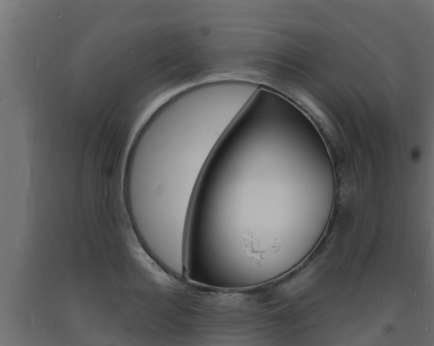 X0000093730940200710160810