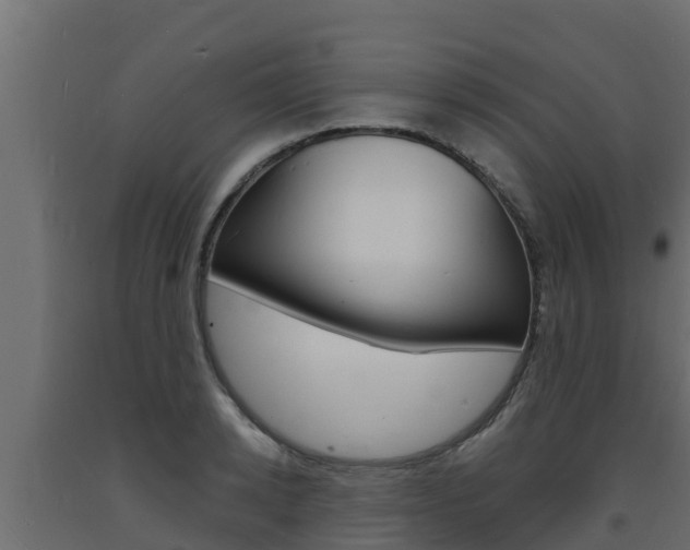 X0000093730942200710160810