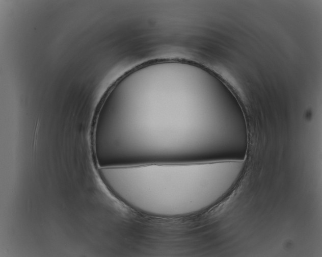 X0000093730943200710160810