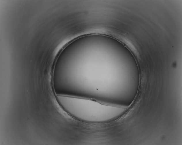 X0000093730944200710160810