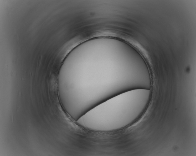 X0000093730945200710160810