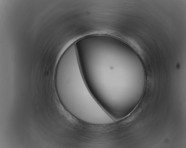 X0000093730948200710160810