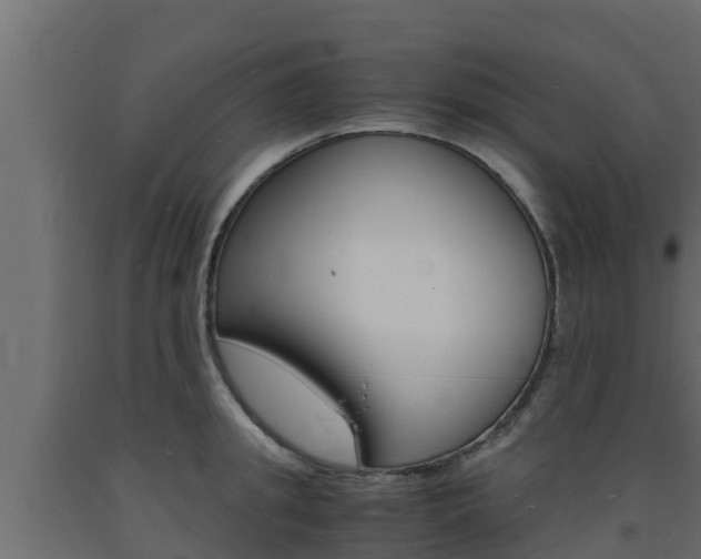 X0000093730949200710160810