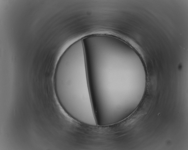 X0000093730951200710160810