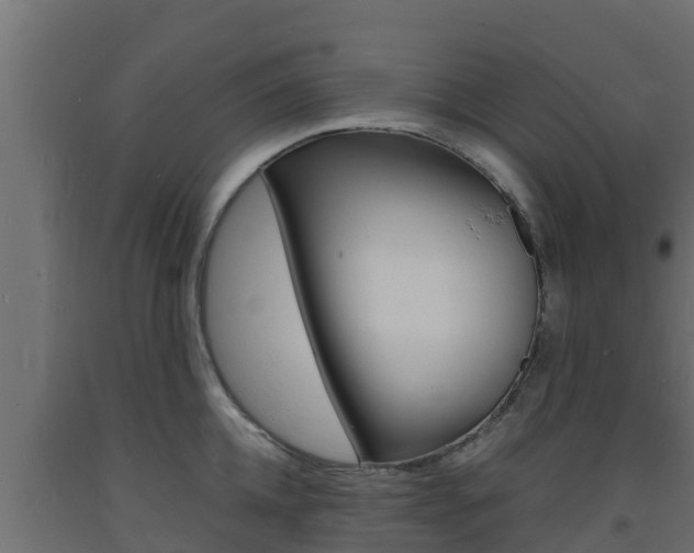 X0000093730952200710160810