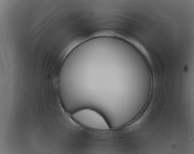 X0000093730953200710160810