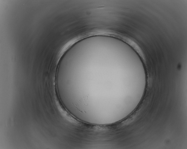 X0000093730954200710160810