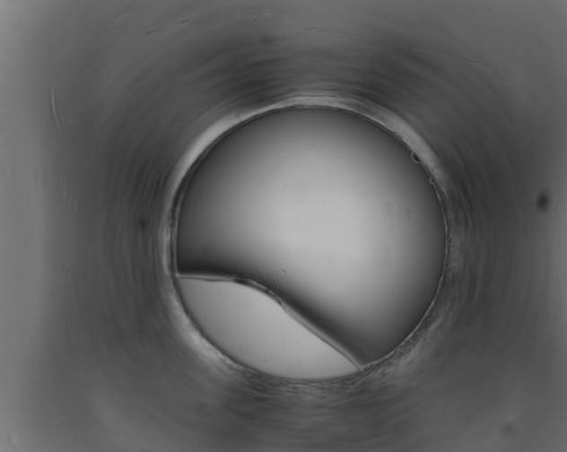 X0000093730955200710160810
