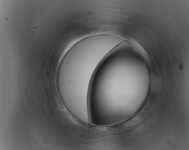 X0000093730956200710160810