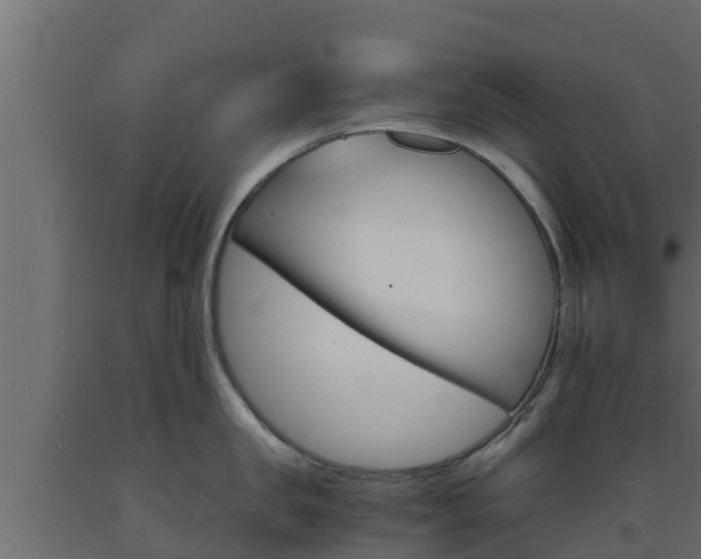 X0000093730957200710160810