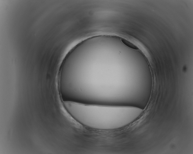X0000093730958200710160810