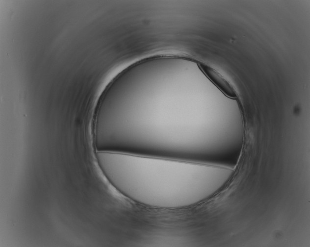 X0000093730959200710160810