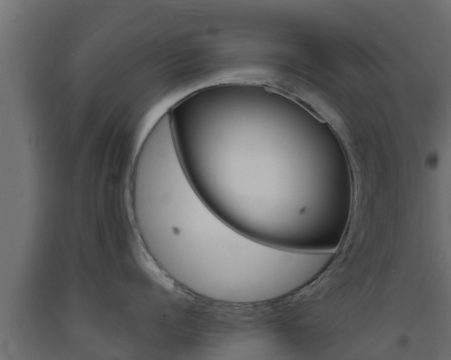 X0000093730960200710160810