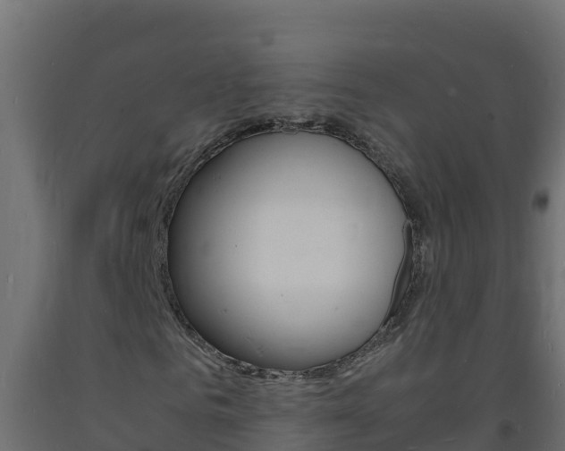 X0000093730961200710160810