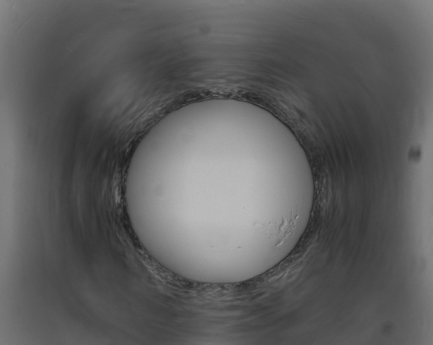 X0000093730962200710160810