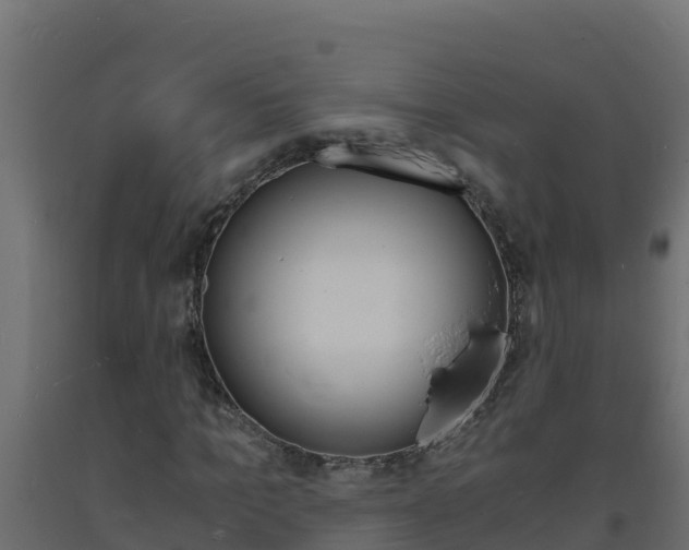 X0000093730965200710160810