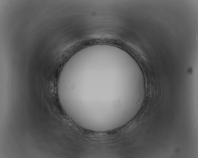 X0000093730966200710160810