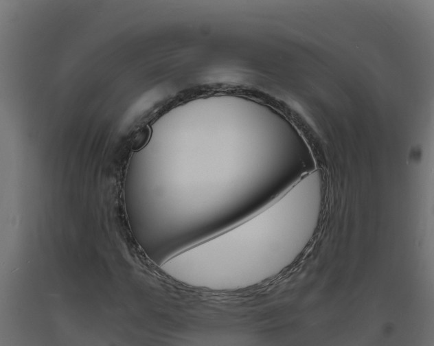 X0000093730967200710160810