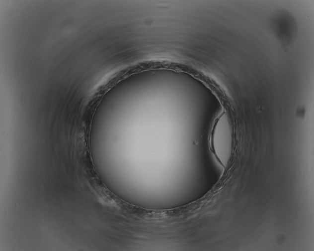 X0000093730968200710160810