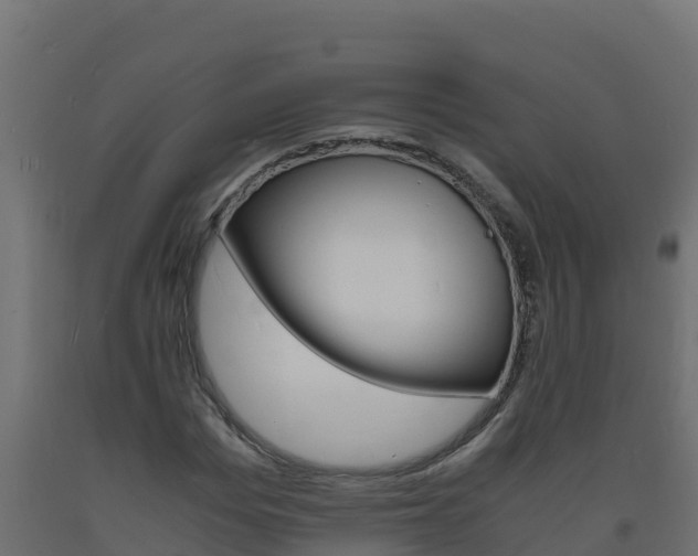 X0000093730969200710160810