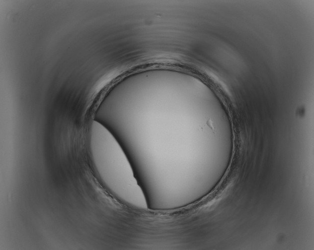 X0000093730970200710160810