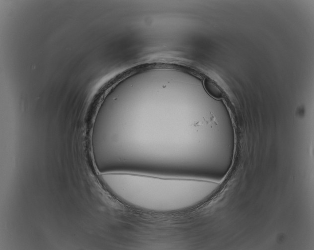 X0000093730971200710160810