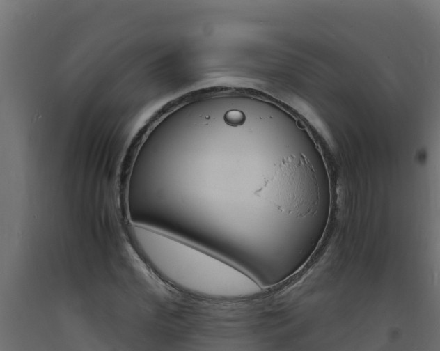 X0000093730972200710160810