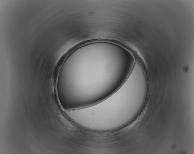 X0000093730973200710160810