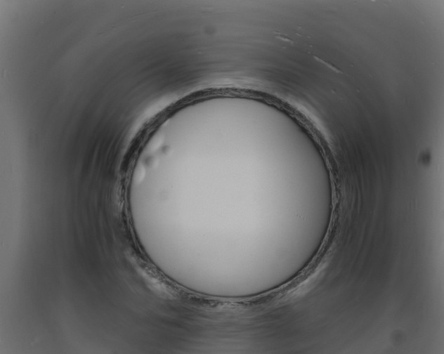 X0000093730974200710160810