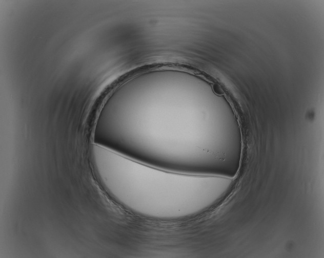 X0000093730975200710160810