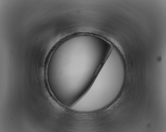 X0000093730976200710160810