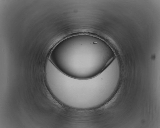 X0000093730977200710160810