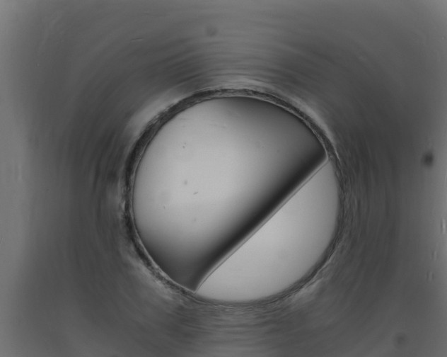X0000093730979200710160810