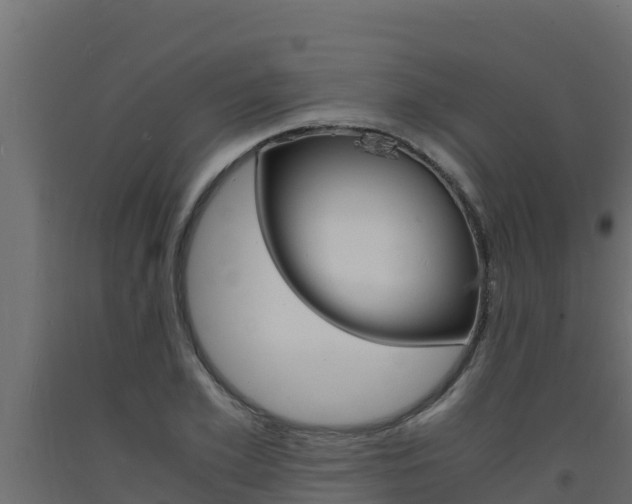 X0000093730981200710160809