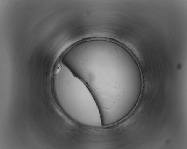 X0000093730982200710160809