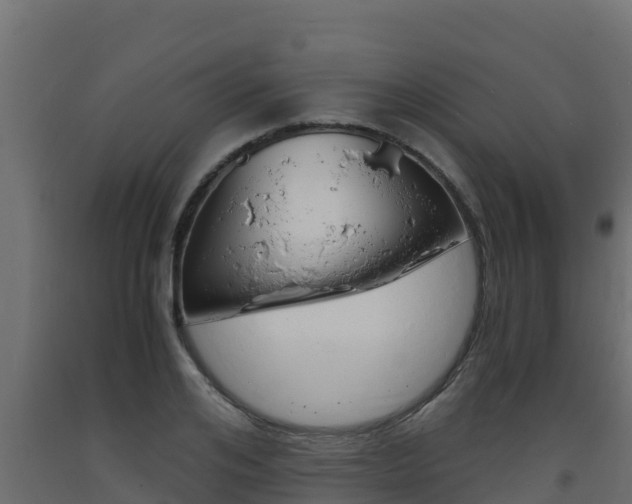 X0000093730984200710160809