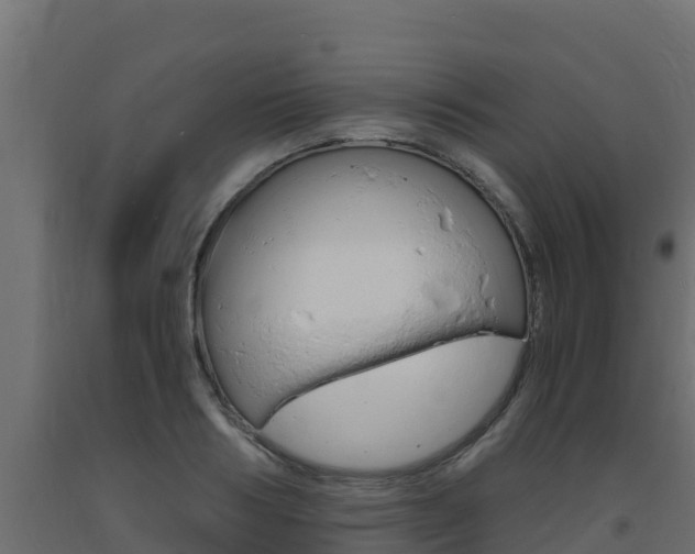 X0000093730986200710160809