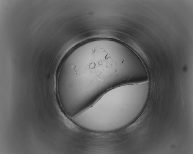 X0000093730988200710160809