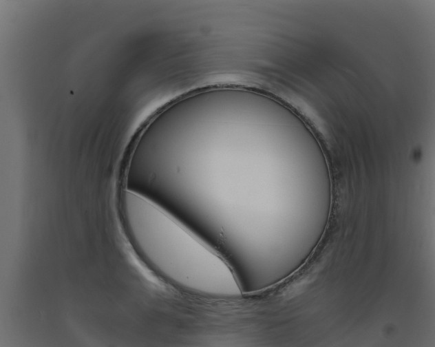 X0000093730991200710160809