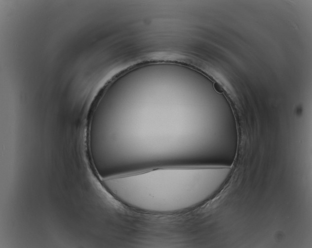 X0000093730992200710160809