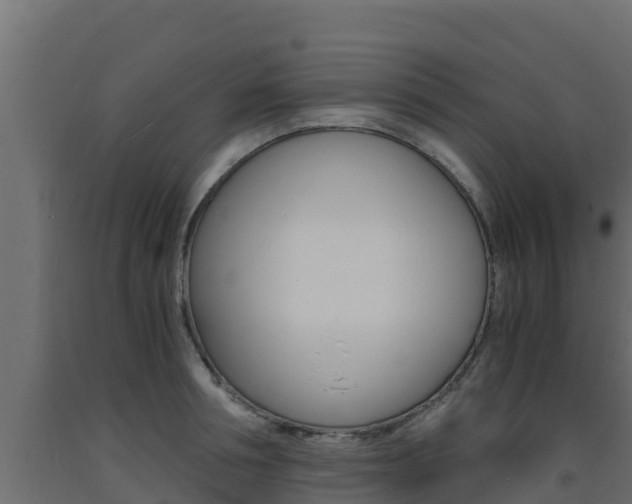 X0000093730994200710160809