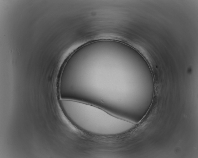 X0000093730995200710160809