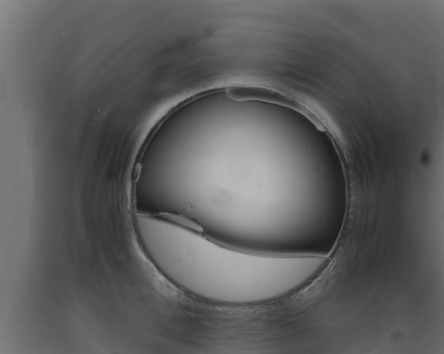 X0000093730996200710160809
