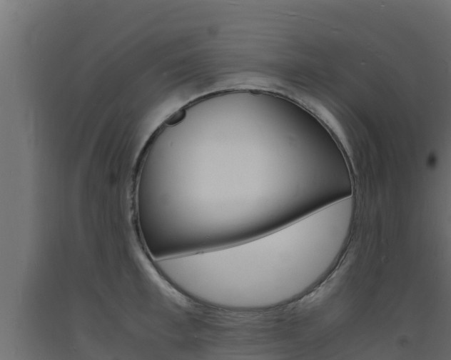X0000093730997200710160809