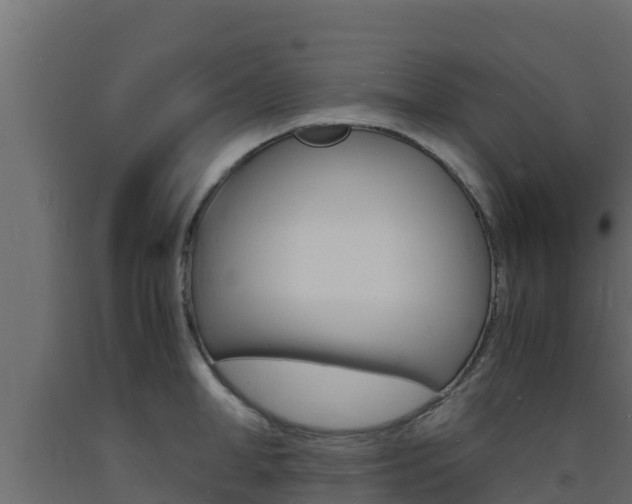 X0000093730998200710160809
