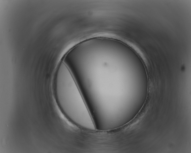 X0000093730999200710160809