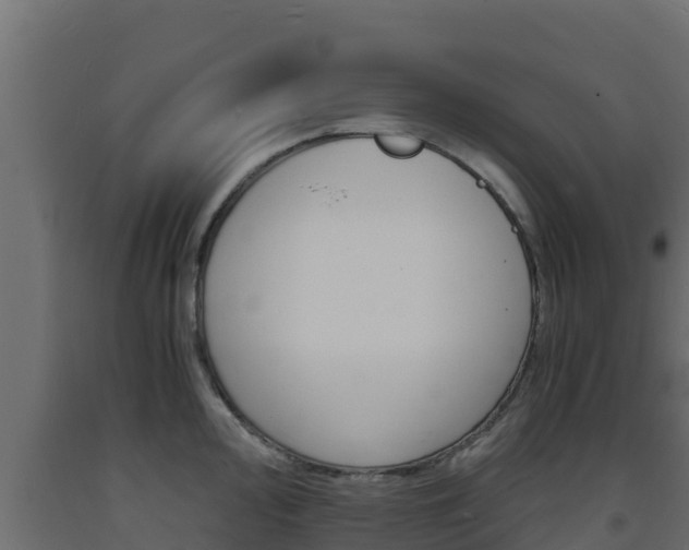 X0000093731000200710160809