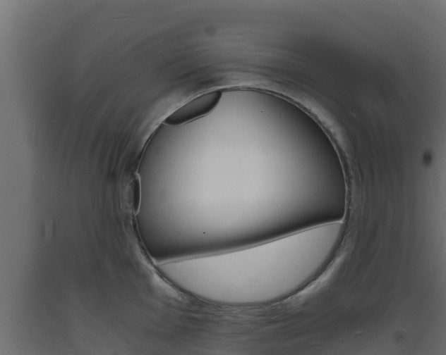 X0000093731001200710160809