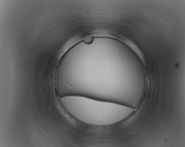 X0000093731002200710160809