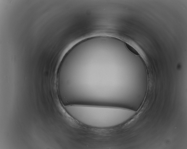 X0000093731004200710160809